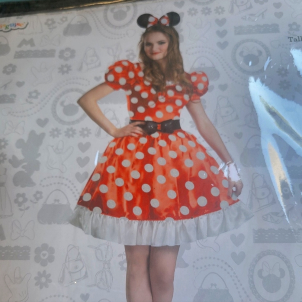 Adult Minnie Mouse Costume